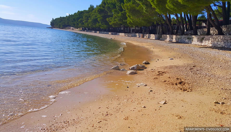 Živogošće Blato plaža Dole